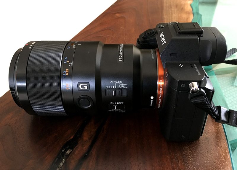 Sony a7ii and 90mm Macro G OSS Lens