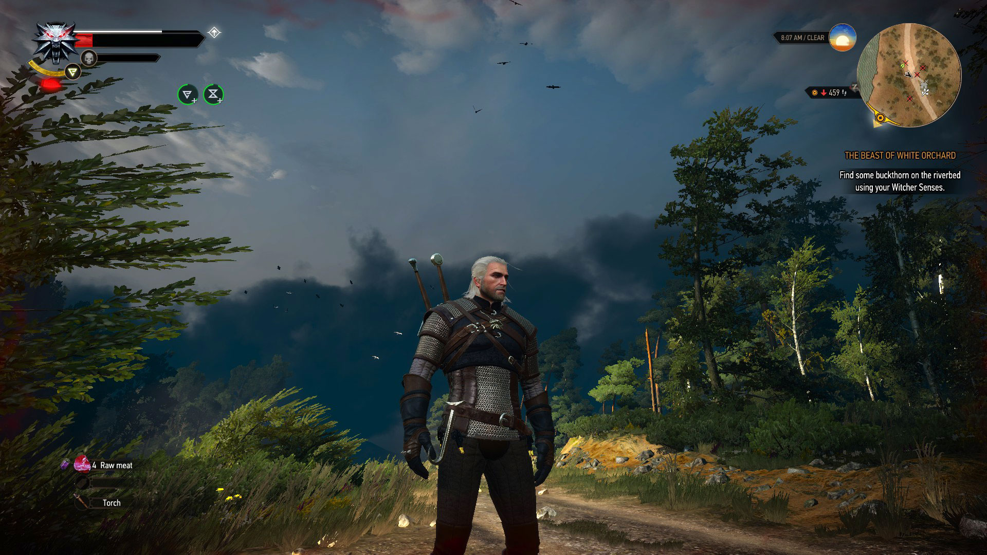 Geralt In A Windy Landscape