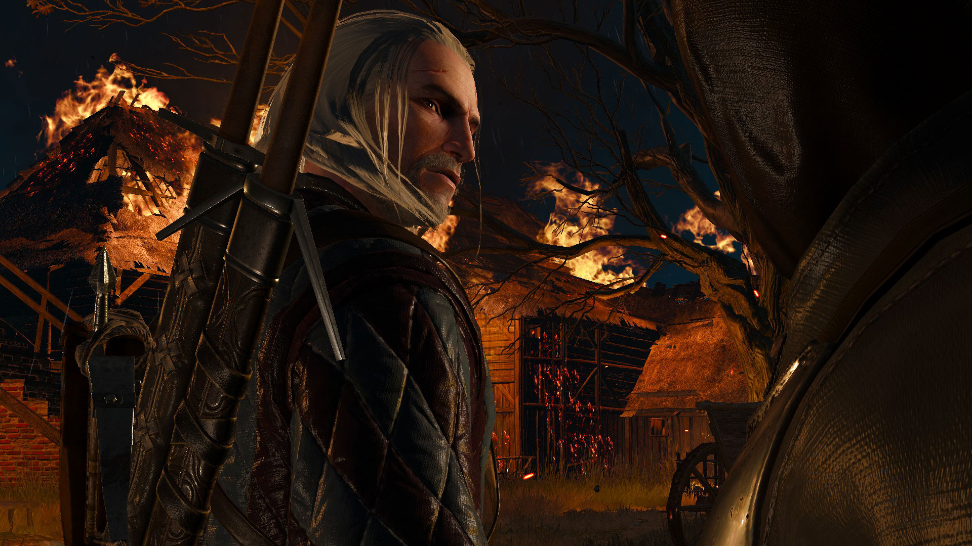 Geralt With Flaming Background